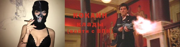 гидропоника Абаза