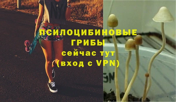 гидропоника Абаза