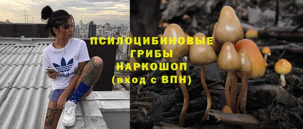 гидропоника Абаза
