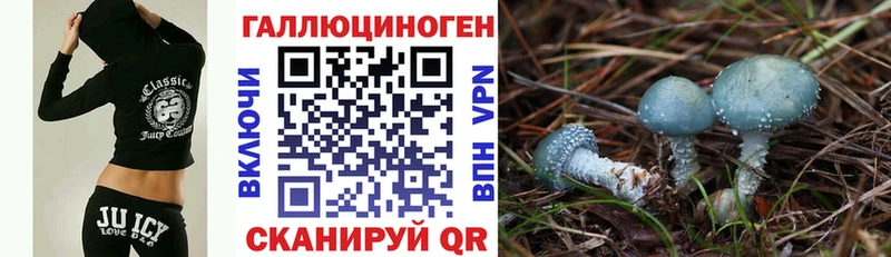 где купить наркоту kraken ONION Галлюциногенные грибы ЛСД Сокол